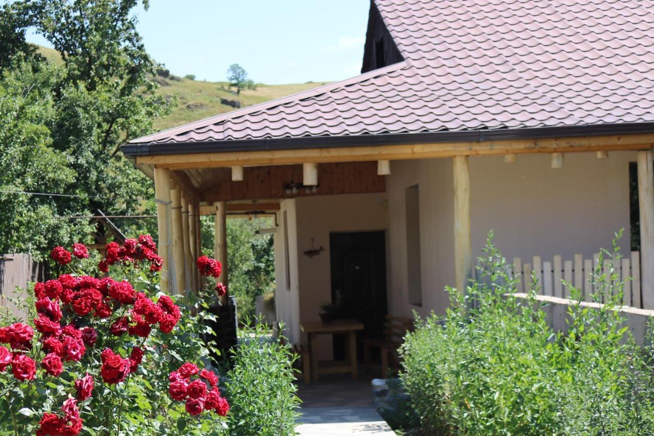 Villa Shamakhyan Dilidzjan Buitenkant foto