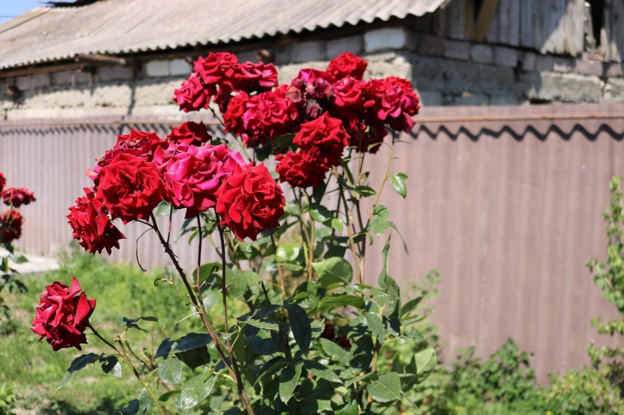 Villa Shamakhyan Dilidzjan Buitenkant foto