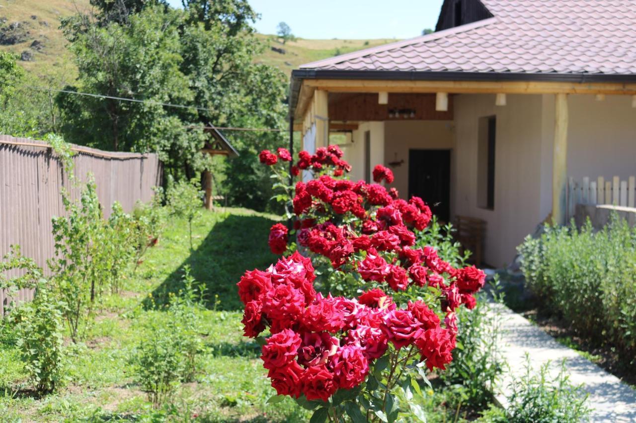 Villa Shamakhyan Dilidzjan Buitenkant foto