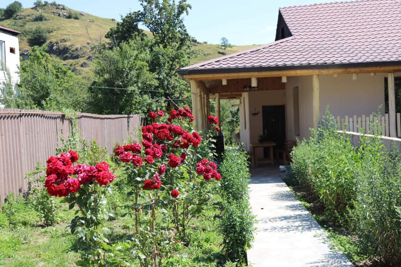 Villa Shamakhyan Dilidzjan Buitenkant foto