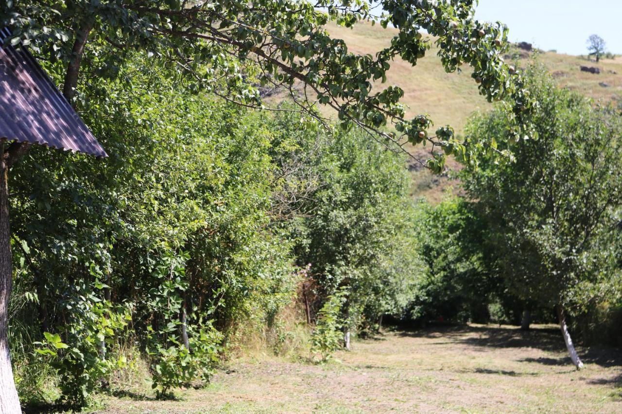Villa Shamakhyan Dilidzjan Buitenkant foto